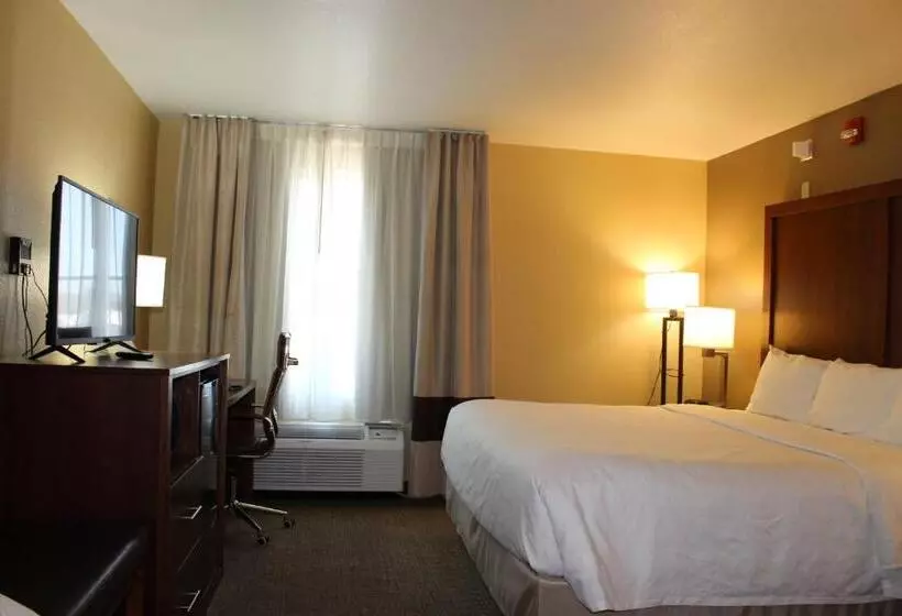 身障者適用キングサイズベッドルーム, Comfort Inn Green Valley I 19