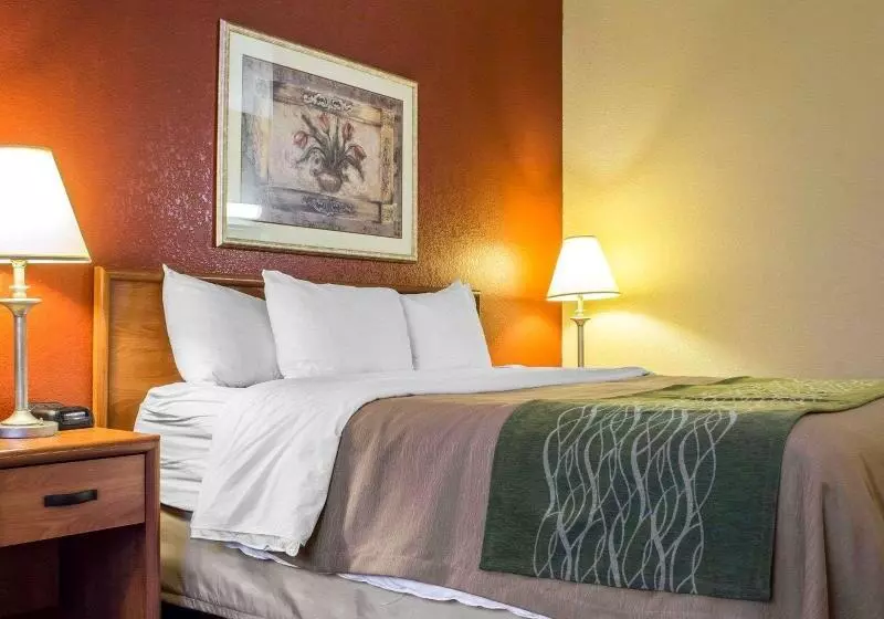 キングサイズベッドのスタンダードルーム, Comfort Inn Green Valley I 19