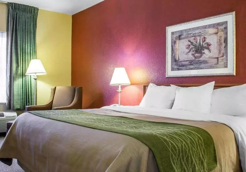 キングサイズベッドのスタンダードルーム, Comfort Inn Green Valley I 19