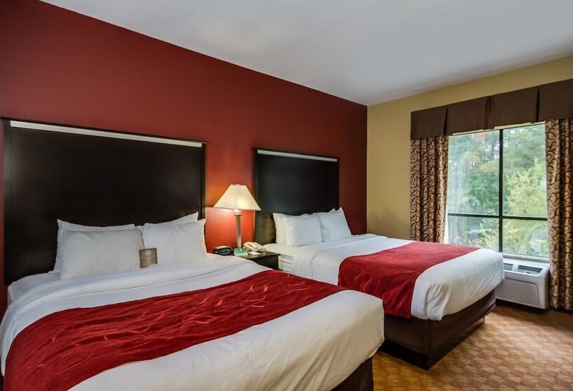 Люкс, Comfort Suites Old Town Spring
