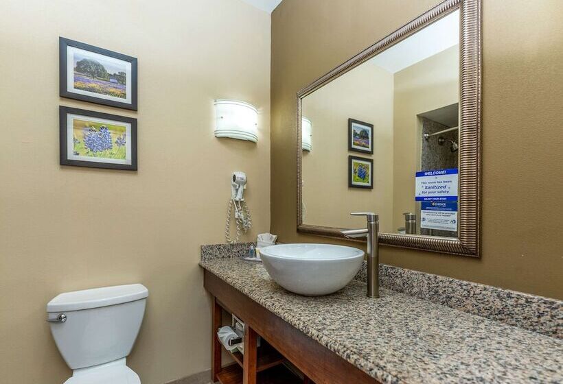 جناح, Comfort Suites Old Town Spring