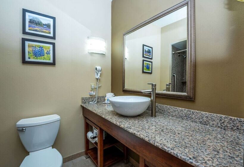 جناح, Comfort Suites Old Town Spring