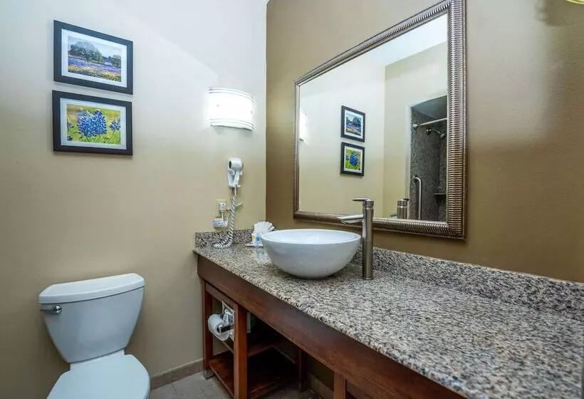 Sviitti, Comfort Suites Old Town Spring