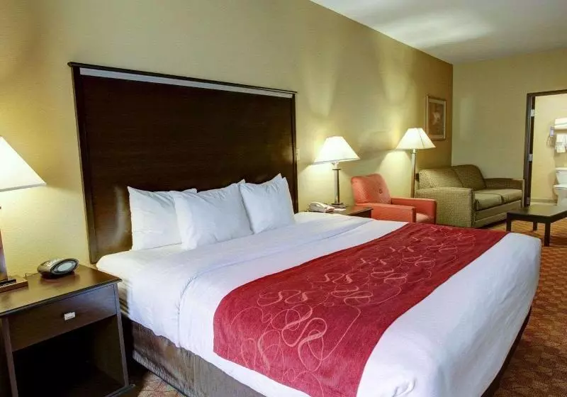 Sviitti King-vuode, Comfort Suites Old Town Spring