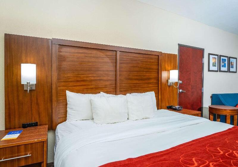 جناح سرير كينج, Comfort Suites Old Town Spring