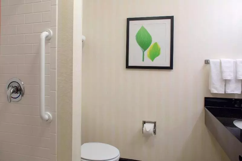 اتاق استاندارد با تخت بزرگ, Fairfield Inn And Suites By Marriott Gadsden