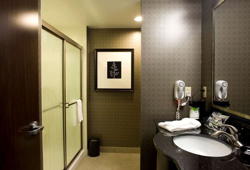 Студия Стандарт, Hampton Inn & Suites Tupelo/barnes Crossing