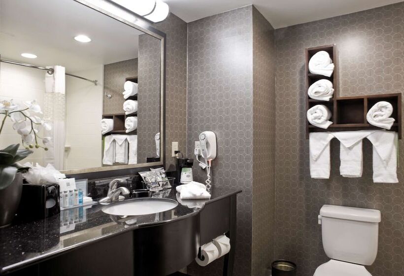 חדר סטודיו סטנדרד, Hampton Inn & Suites Tupelo/barnes Crossing