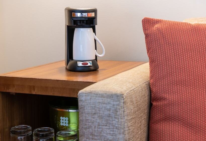 스탠다드 룸 더블 침대 2개, Hyatt Place New York/midtown South