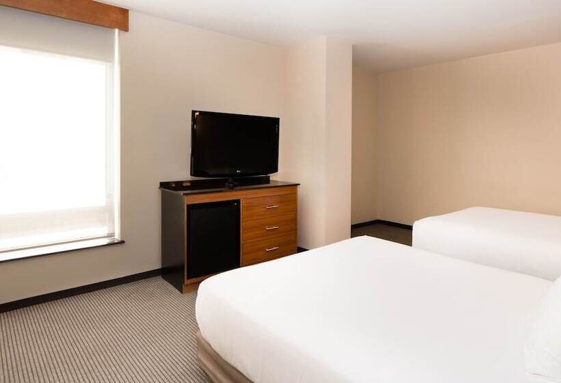 스탠다드 룸 더블 침대 2개, Hyatt Place New York/midtown South