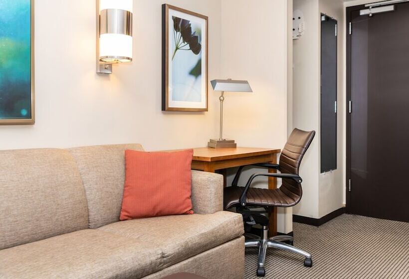 스탠다드 룸 수피리어 층, Hyatt Place New York/midtown South