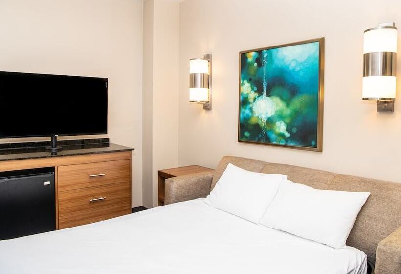 스탠다드 룸 수피리어 층, Hyatt Place New York/midtown South