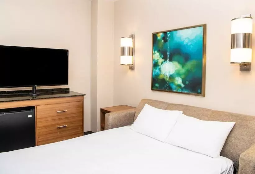 Standard Room Superior Floor, Hyatt Place New York/midtown South