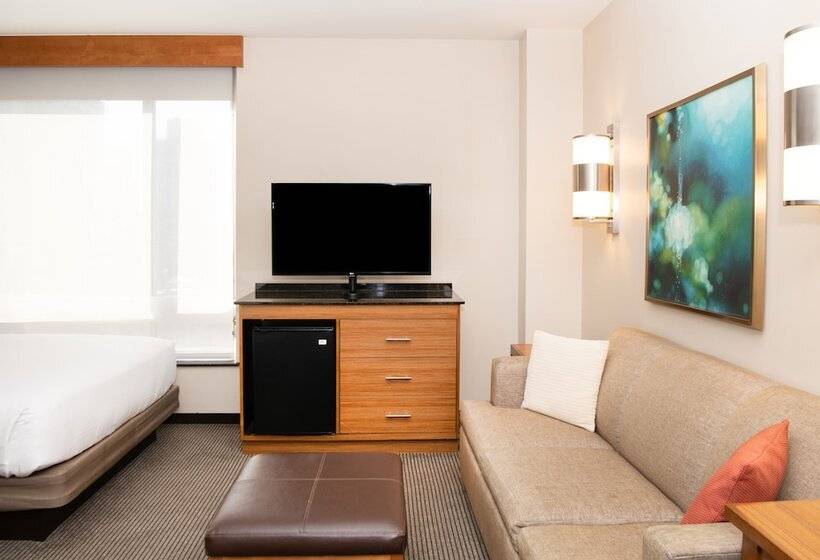 스탠다드 룸 수피리어 층, Hyatt Place New York/midtown South