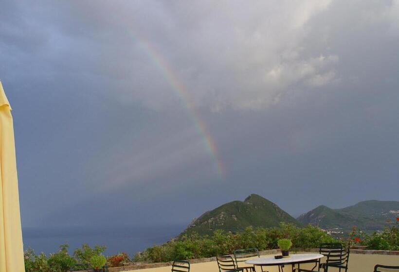 オーシャンビュースタンダードルーム, Levant