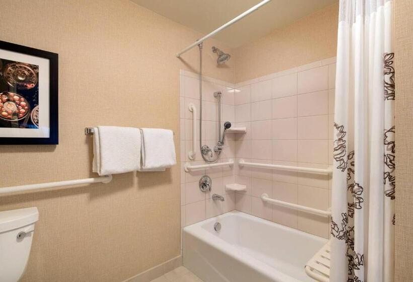 带2个卧室的套房, Residence Inn Glenwood Springs