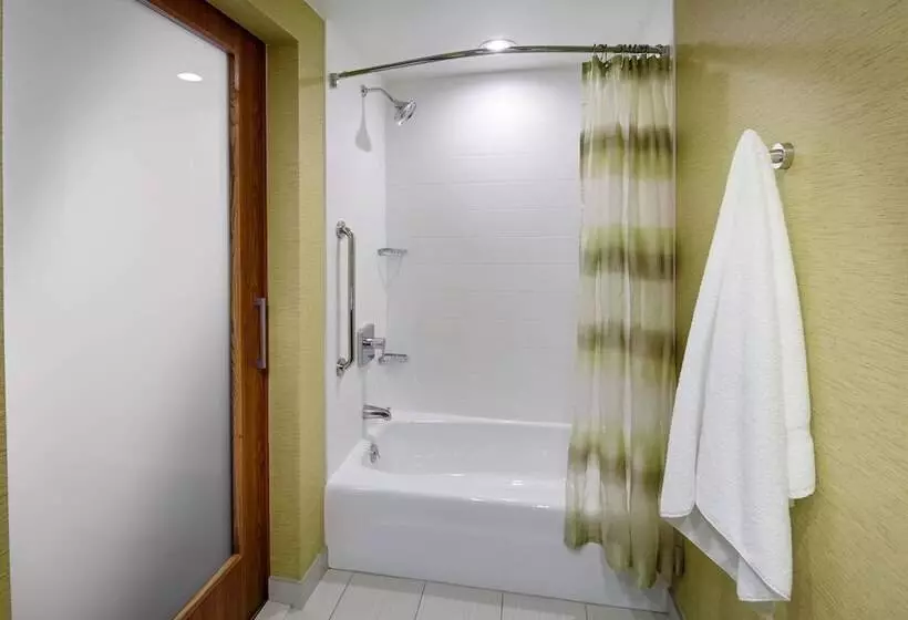 スタンダードスタジオ, Springhill Suites By Marriott Pittsburgh Latrobe