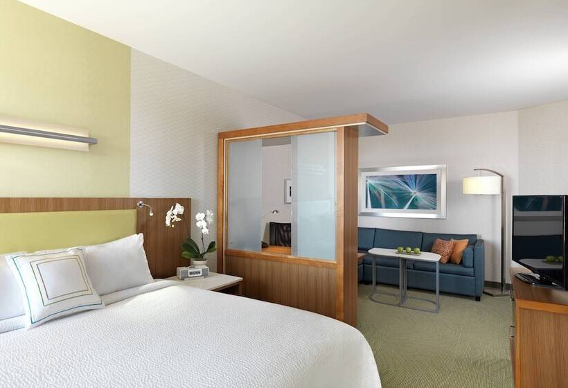 سوییت, Springhill Suites By Marriott Lake Charles