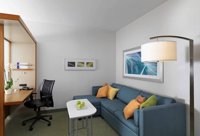 سوییت, Springhill Suites By Marriott Lake Charles