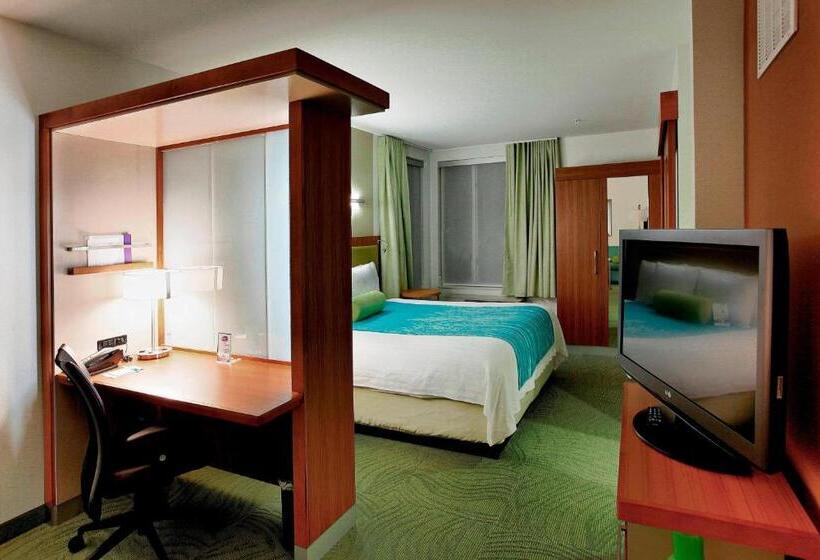 스위트 킹사이즈 침대, Springhill Suites By Marriott Lake Charles