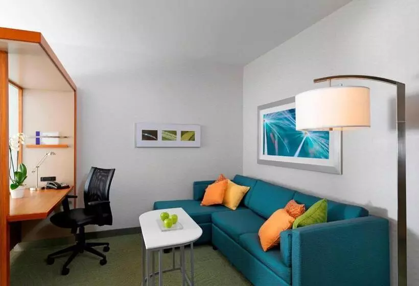 سوئیت با تخت بزرگ, Springhill Suites By Marriott Lake Charles