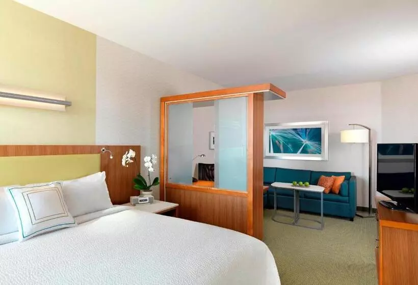 استودیو استاندارد با تخت کینگ, Springhill Suites By Marriott Lake Charles