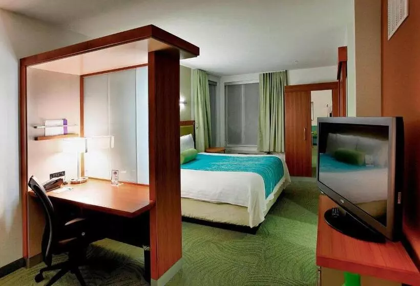 استودیو استاندارد با تخت کینگ, Springhill Suites By Marriott Lake Charles