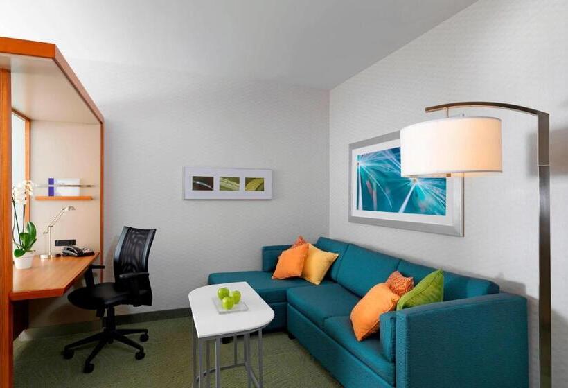 سوئیت برای معلولان, Springhill Suites By Marriott Lake Charles