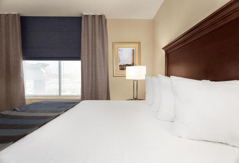 带大床的标准间, Wingate By Wyndham Columbia / Lexington