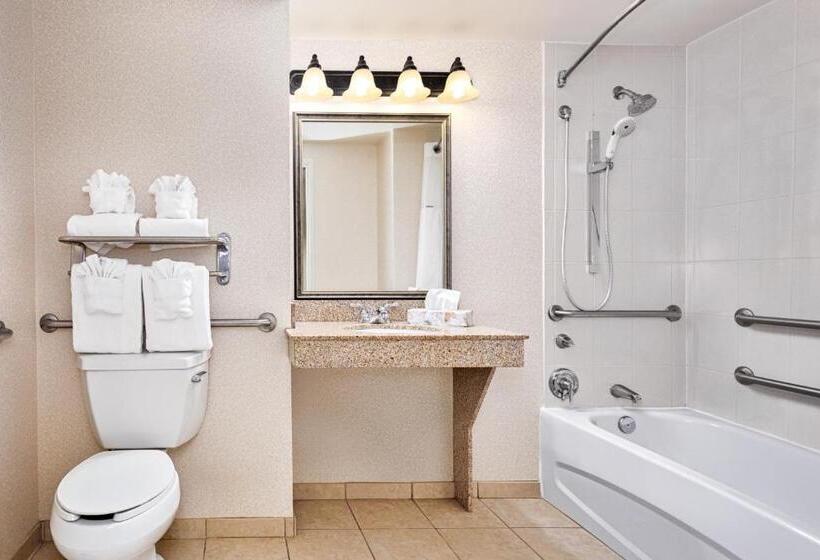 带大床的标准间, Wingate By Wyndham Columbia / Lexington