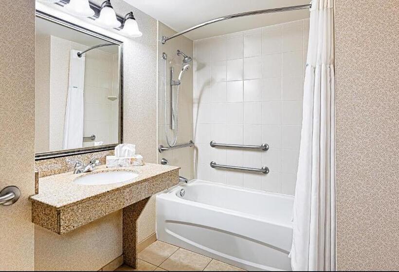 带大床的标准间, Wingate By Wyndham Columbia / Lexington