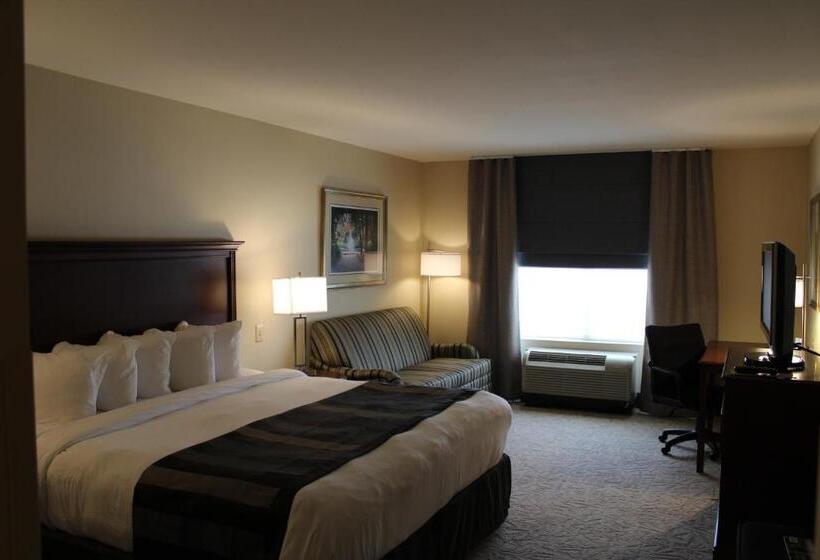 Стандартный Номер Кровать Кинг, Wingate By Wyndham Columbia / Lexington