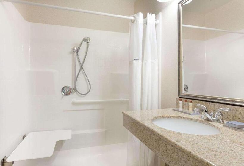 适合残疾人使用的标准间, Wingate By Wyndham Columbia / Lexington