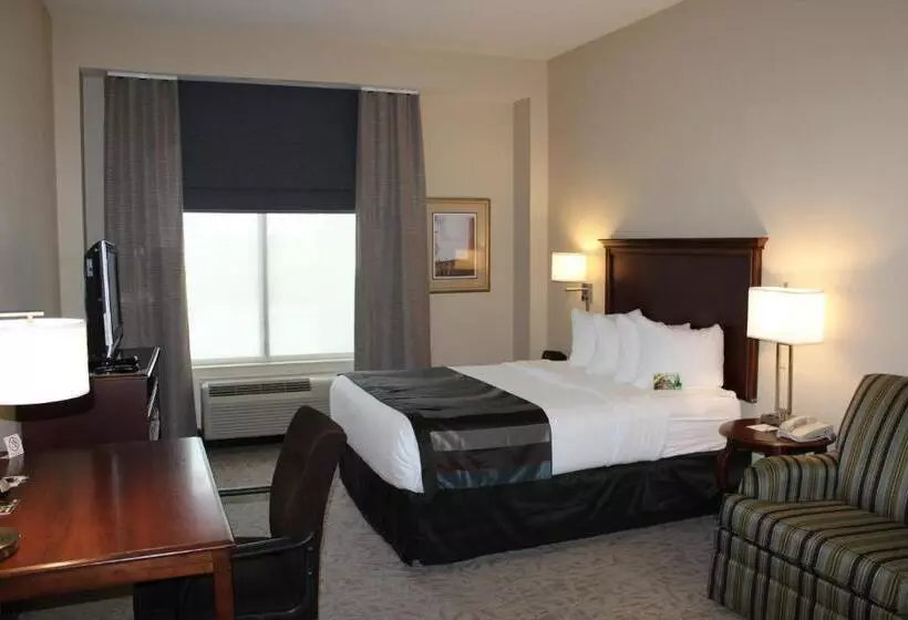 身障者適用スタンダードルーム, Wingate By Wyndham Columbia / Lexington