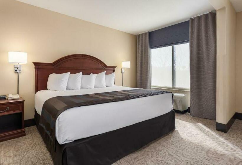 带大床的复式套间, Wingate By Wyndham Columbia / Lexington