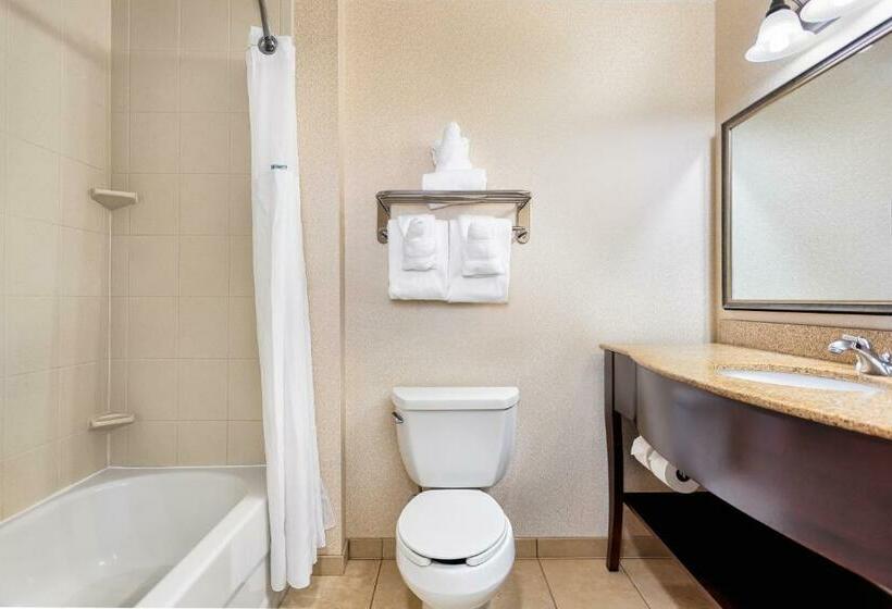 带大床的复式套间, Wingate By Wyndham Columbia / Lexington