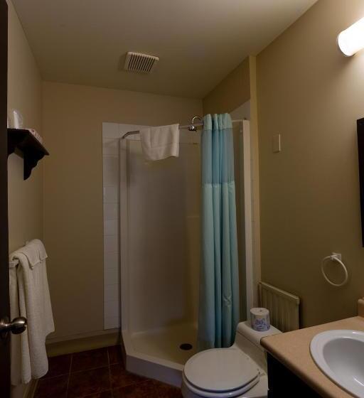 带2个双人床的标准工作室, Ywca Banff