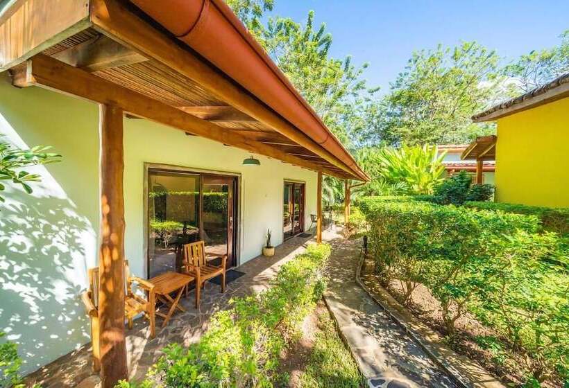 بنجلو قياسى, Arco Iris