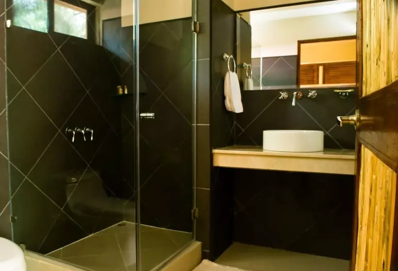بانگلوی استاندارد, Arco Iris