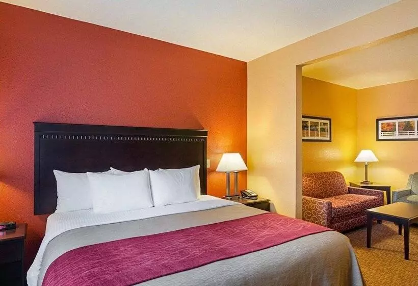 Sviitti Liikuntarajoitteisille, Comfort Inn & Suites Orange Montpelier