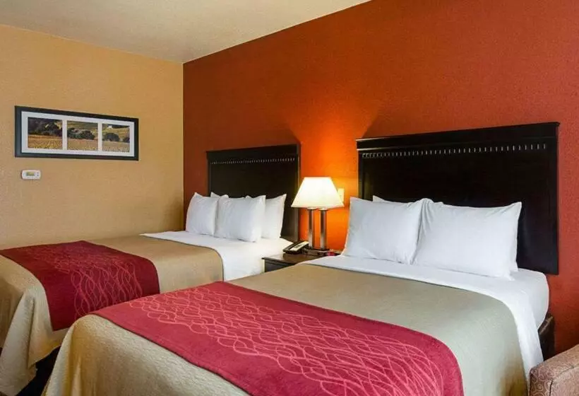 Standard-huone, Comfort Inn & Suites Orange Montpelier