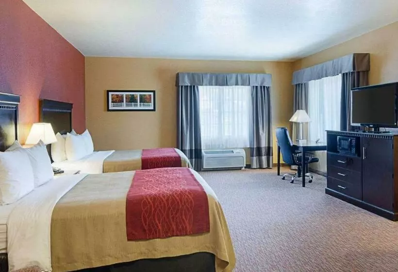 Standard-huone, Comfort Inn & Suites Orange Montpelier