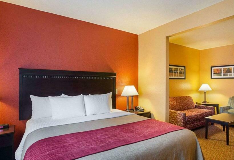 스위트 킹사이즈 침대, Comfort Inn & Suites Orange   Montpelier