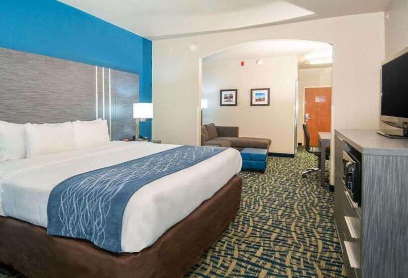 套房, Comfort Inn & Suites Pauls Valley  City Lake