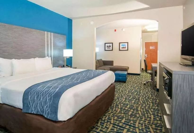 スイート, Comfort Inn & Suites Pauls Valley  City Lake