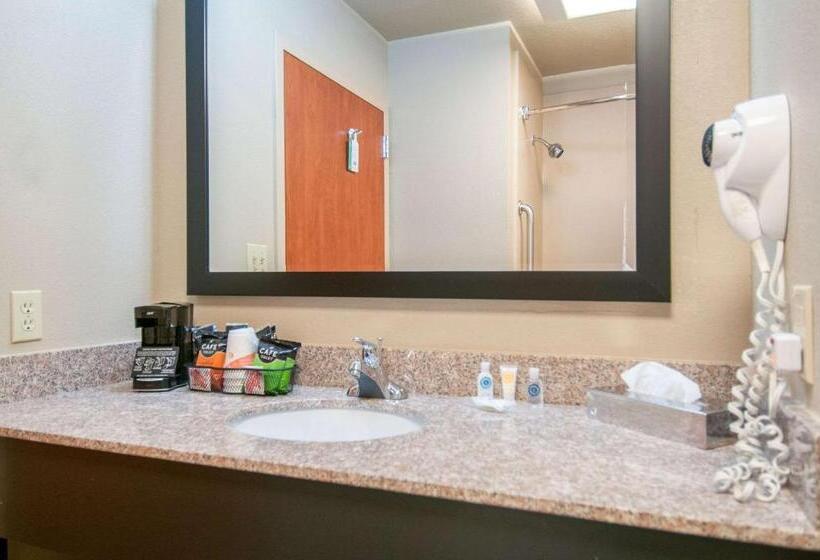 带大床的标准间, Comfort Inn & Suites Pauls Valley  City Lake