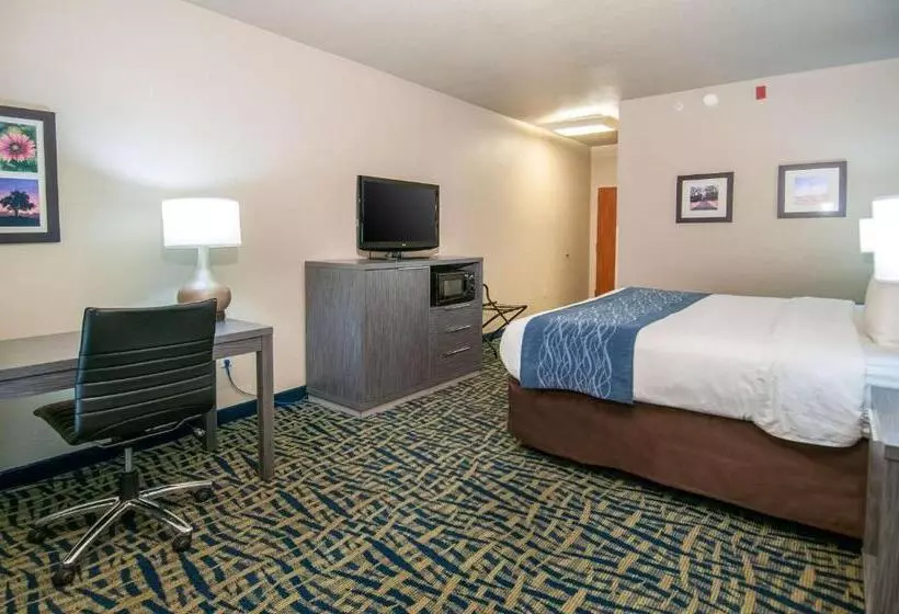 キングサイズベッドのスタンダードルーム, Comfort Inn & Suites Pauls Valley  City Lake