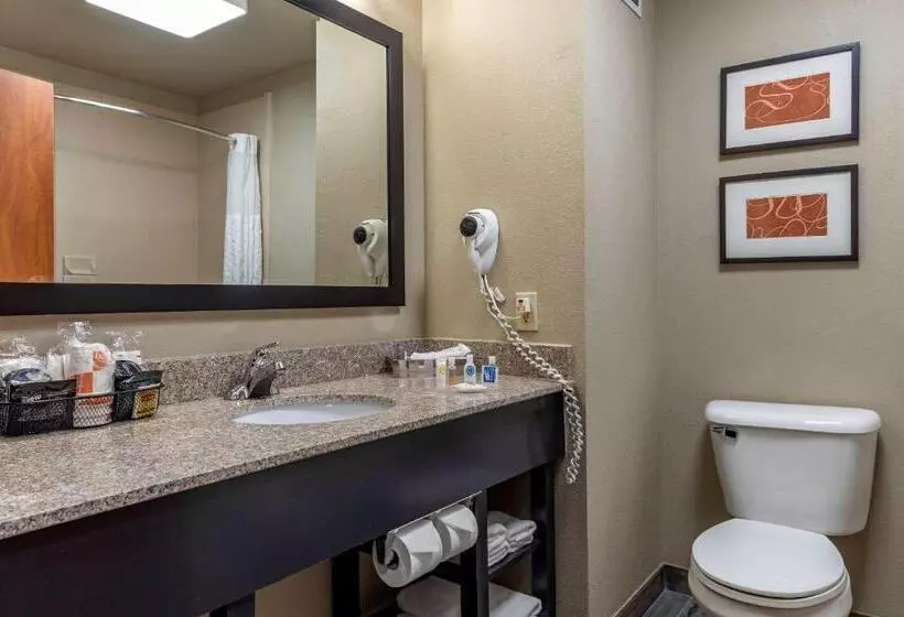 ハイドロマッサージバス付きスイート, Comfort Inn & Suites Pauls Valley  City Lake