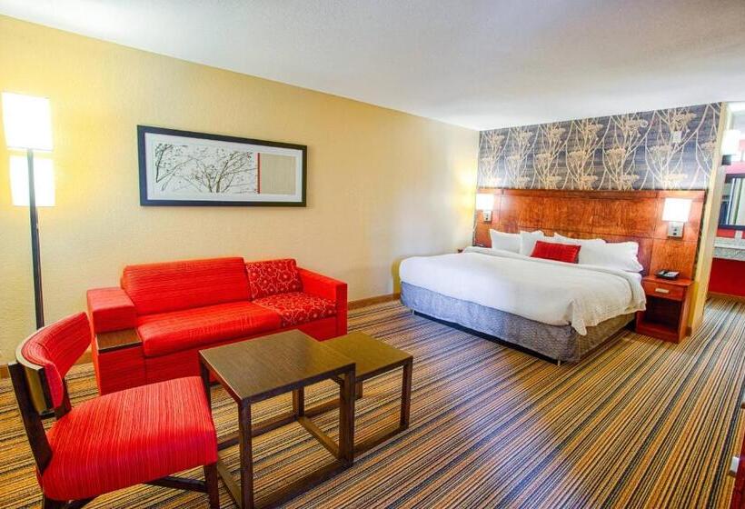 带大床的套房, Courtyard Fargo Moorhead, Mn