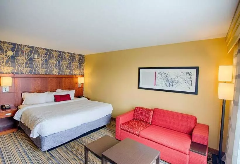 身障者適用キングサイズベッドルーム, Courtyard Fargo Moorhead, Mn
